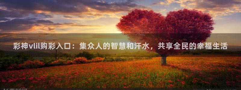 狗子28体育f开户