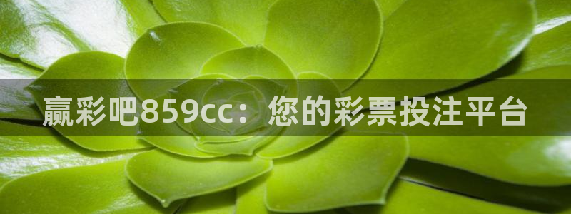 狗子28体育用品：赢彩吧859cc：您的彩票投注平台