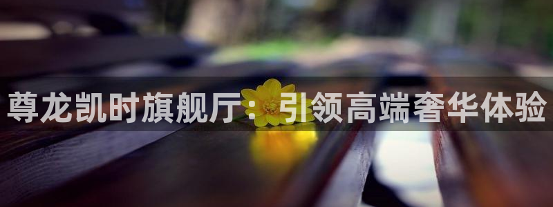 狗子28登录：尊龙凯时旗舰厅：引领高端奢华体验
