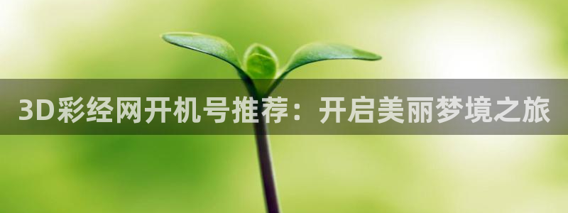 狗子282平台：3D彩经网开机号推荐：开启美丽梦境之旅